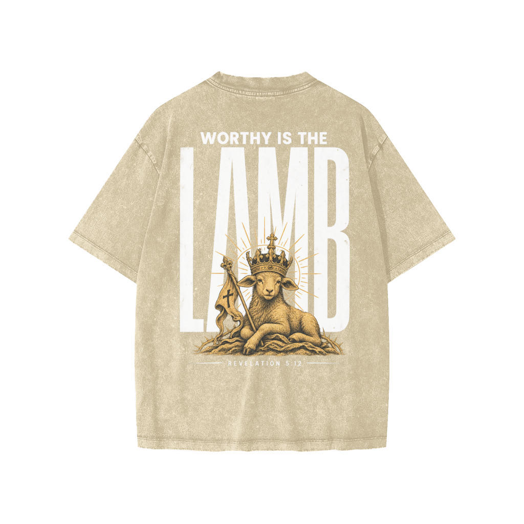Worthy is the Lamb Snow Washed Kids' T-Shirt