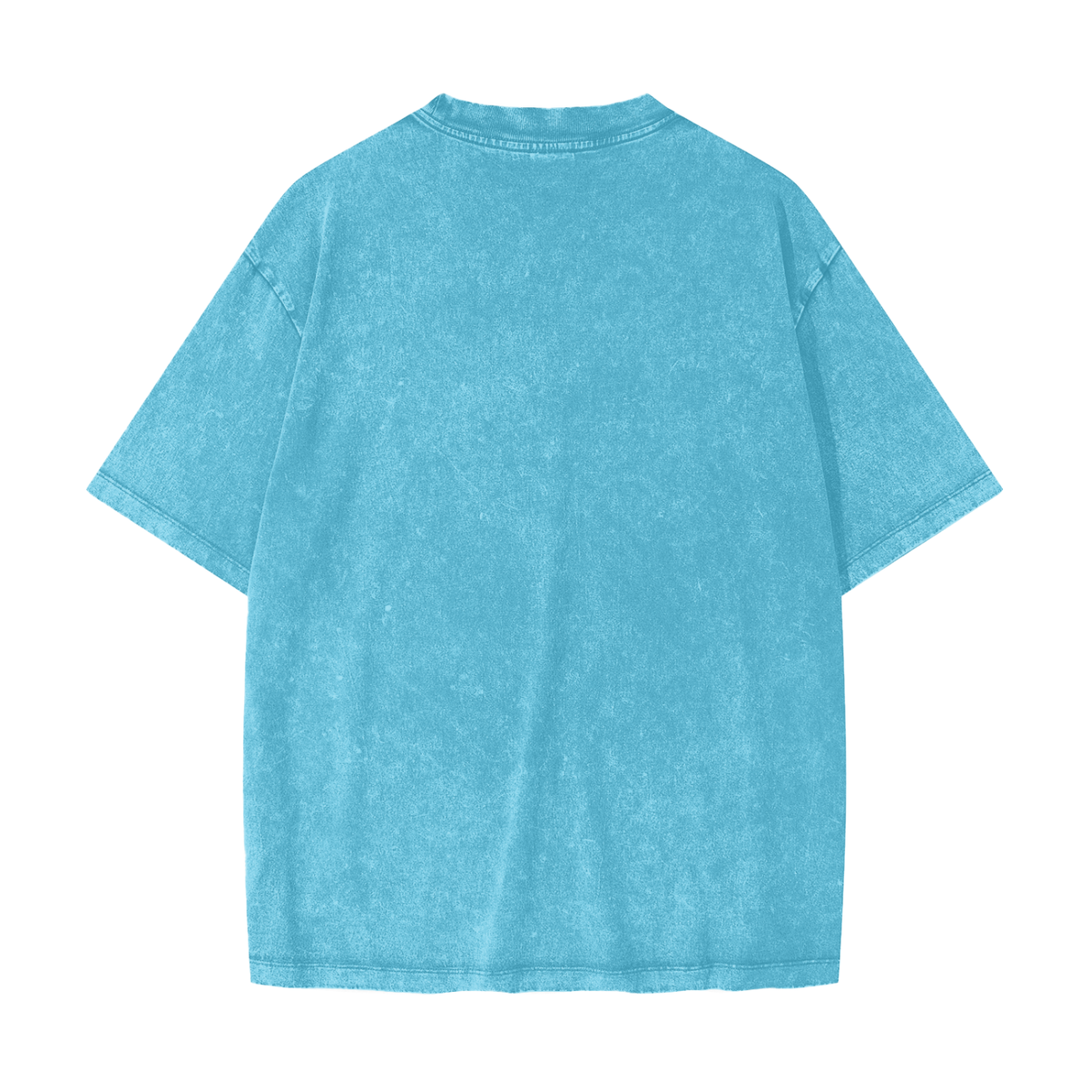 Chosen for More Heavyweight Snow Washed T-Shirt