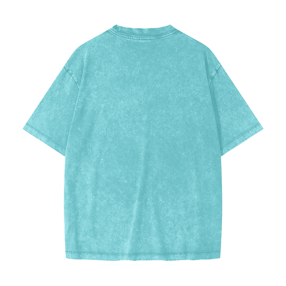 Chosen for More Heavyweight Snow Washed T-Shirt