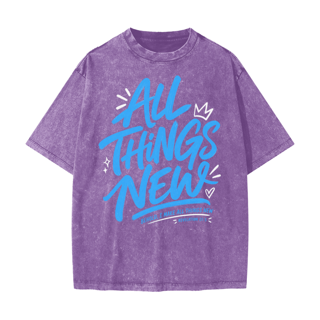 All Things New Heavyweight Snow Washed T-Shirt