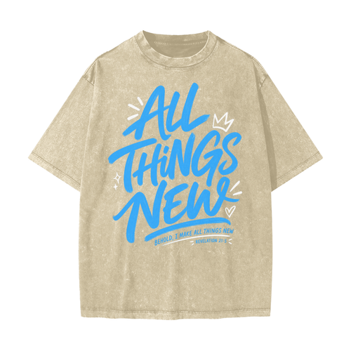 All Things New Heavyweight Snow Washed T-Shirt