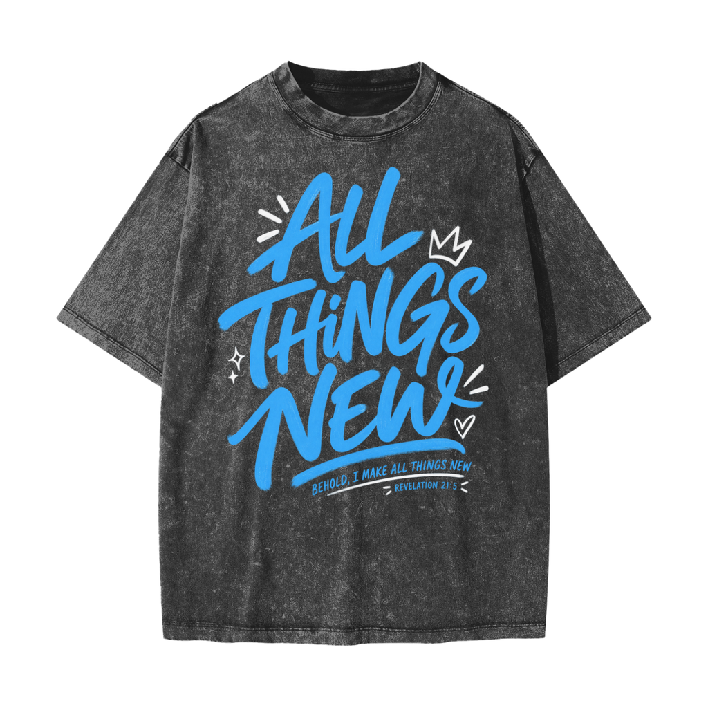 All Things New Heavyweight Snow Washed T-Shirt